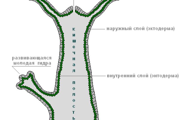 Можно вывести деньги с кракена